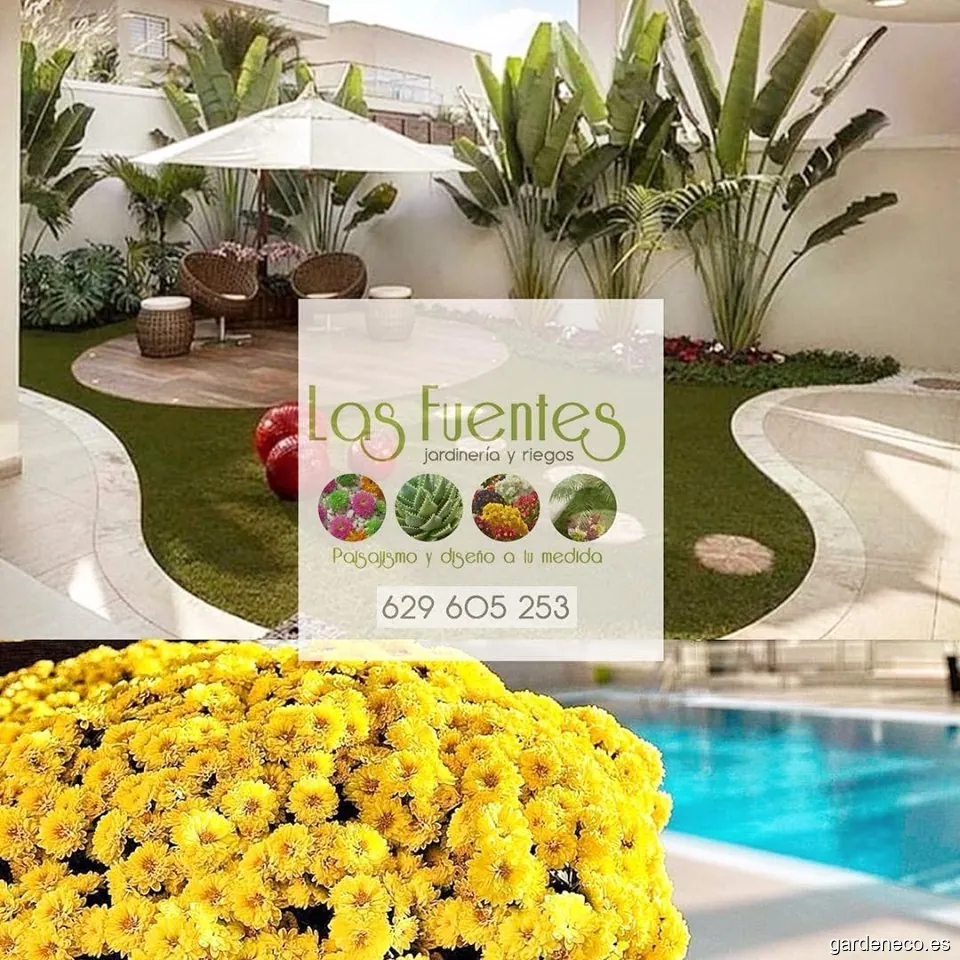 Jardineria Las Fuentes Podas y Limpezas Mantenimiento de Jardines