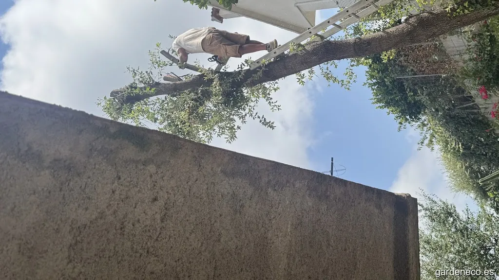 Desbrossaments el Maresme y la selva