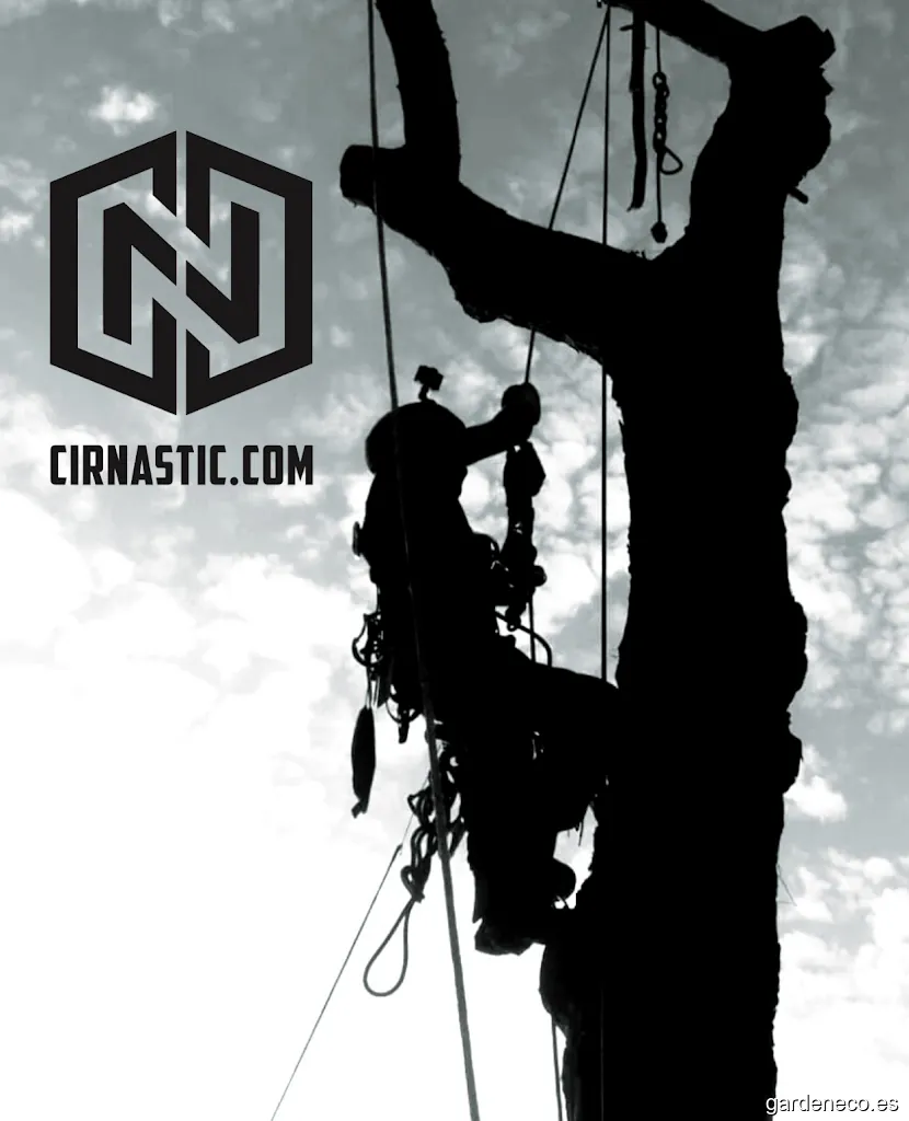 Poda y tala de árboles CIRNASTIC