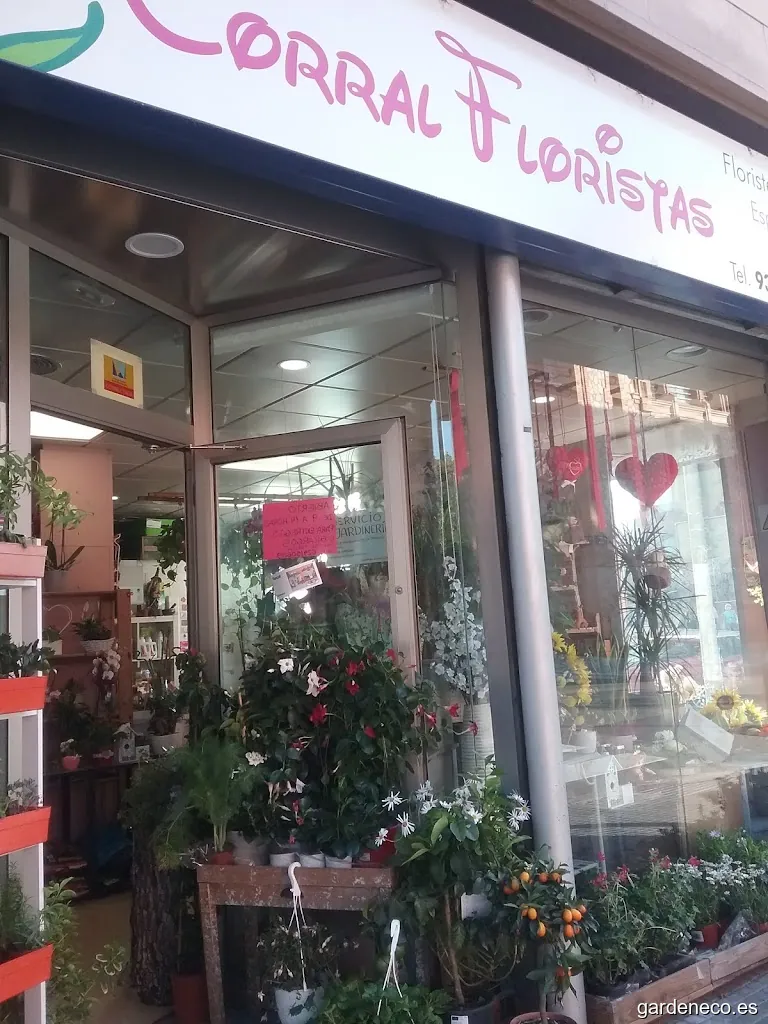Corral Floristas