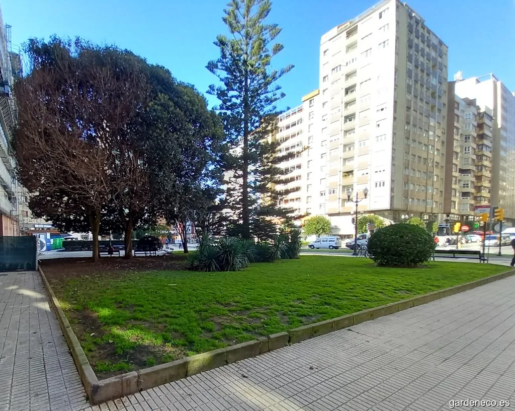 Xardines de Antonio Medio