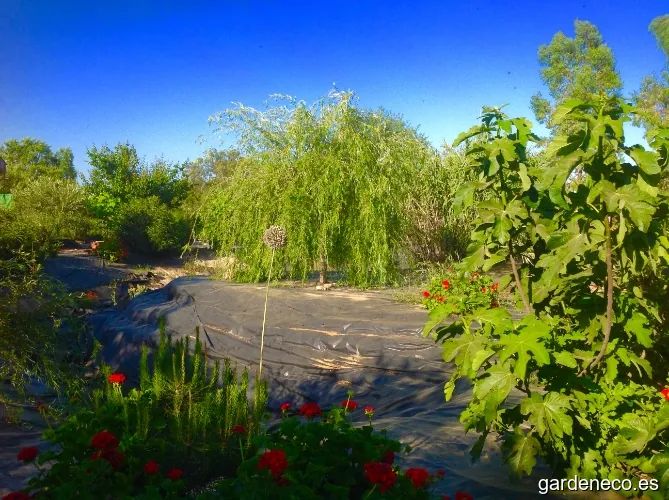 Carinas Jardín Botánico