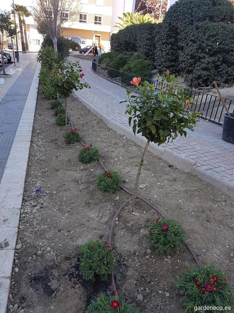 Jardin Donantes de Sangre