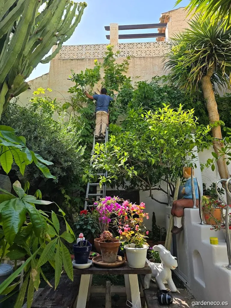 Jardinería y mantenimiento Guerrero