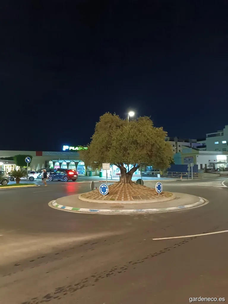 Rotonda Homenaje Voluntarios Protección Civil