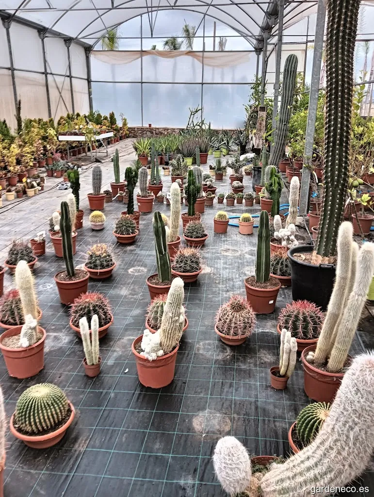 Jardineria Sara S.L.