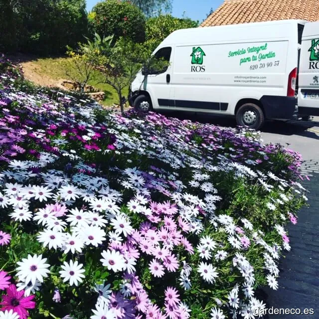 Jardinería y Servicios Ros