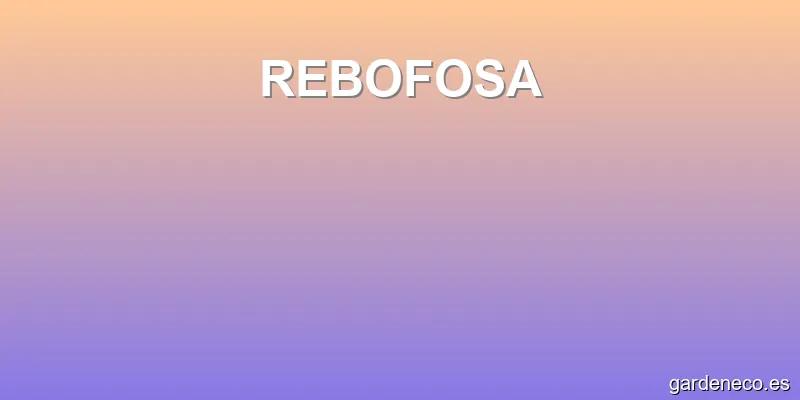REBOFOSA