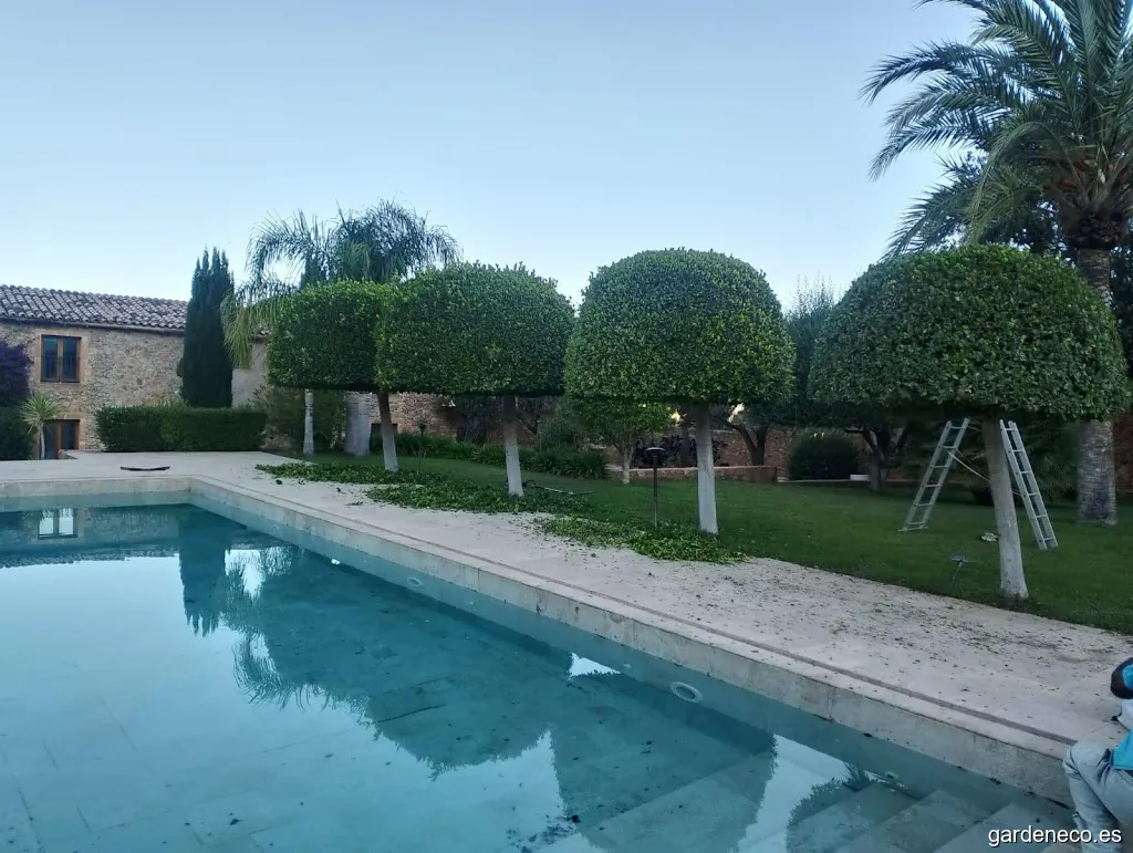 Jardinería en general