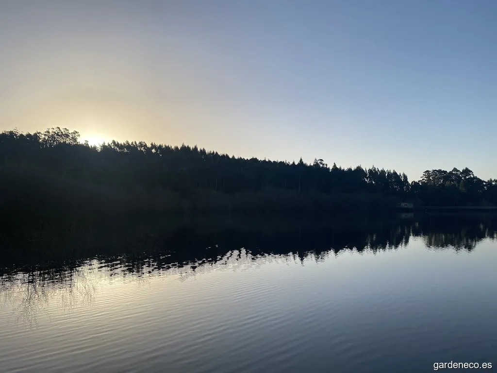 Merendeiro do Encoro do Con