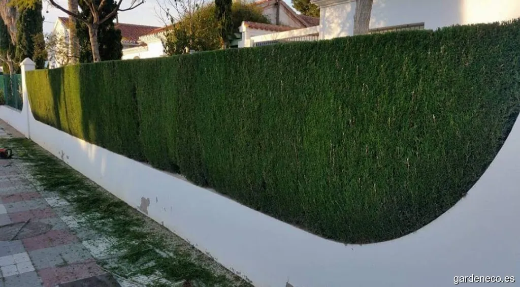 Jardinería Verde Jardín - Trabajos y Mantenimientos