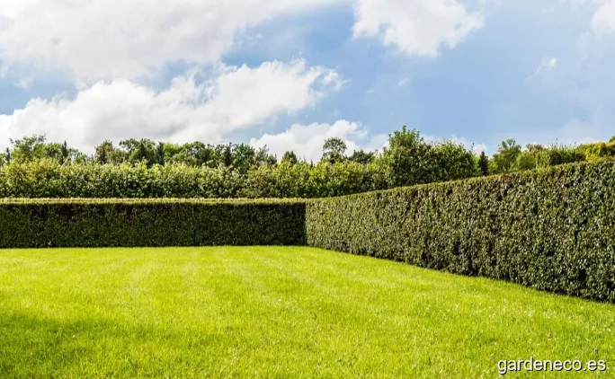 DESBROCES ASTURIANOS