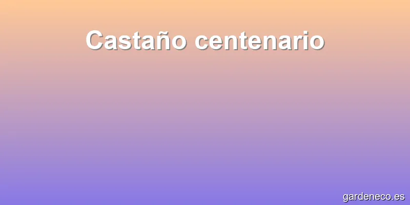 Castaño centenario