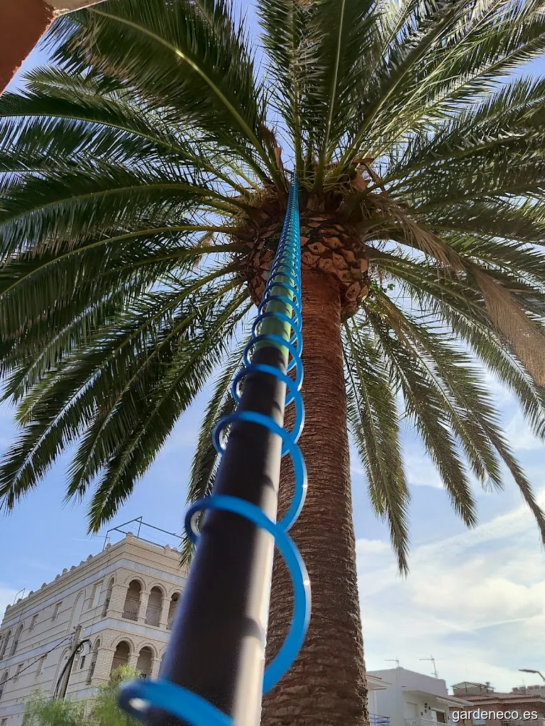 JARDINERÍA MIRALLES