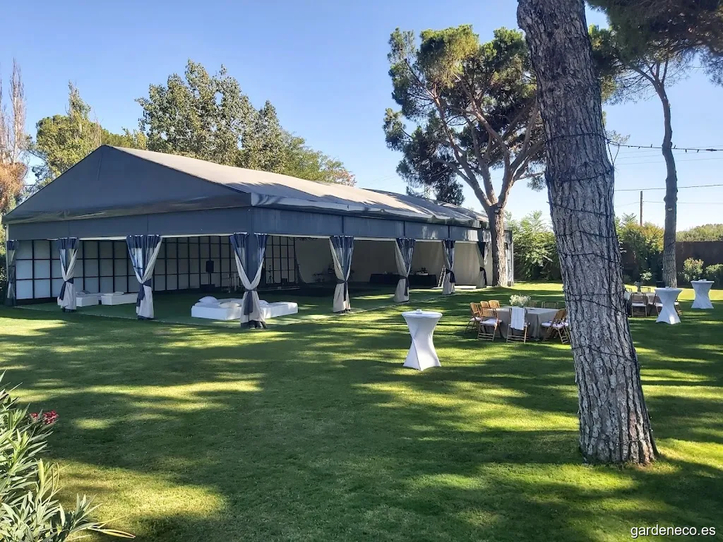 El pinar de la Caprichosa