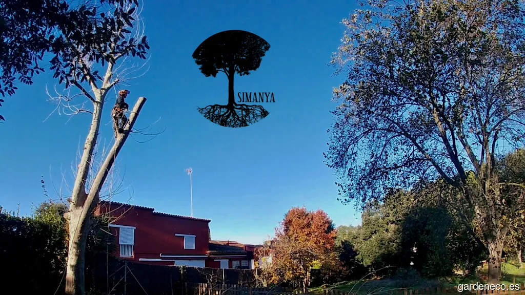 Simanya jardiners (Can Roca)