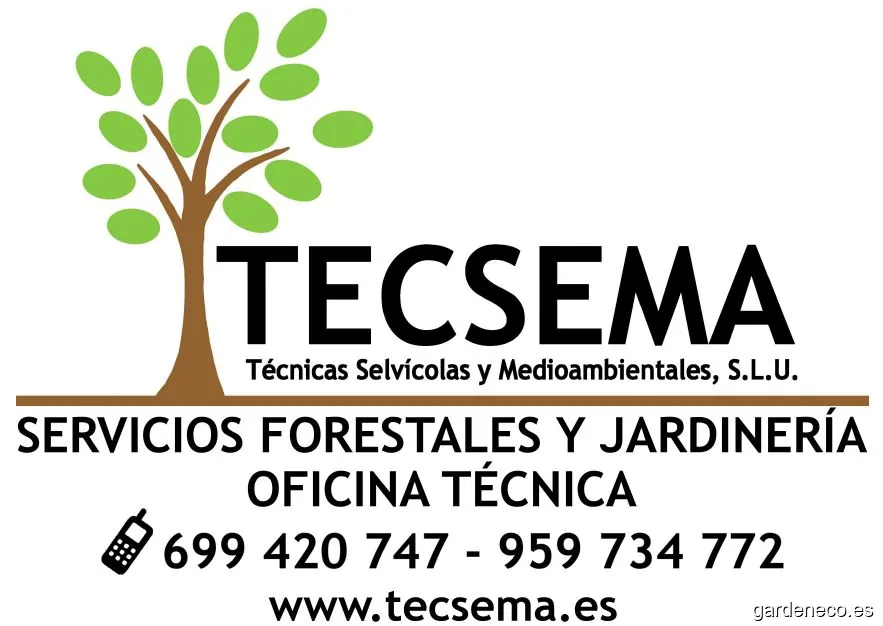 Tecsema