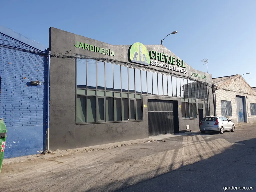 Limpiezas Cheyje Torrejón