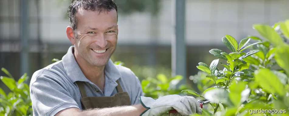 Musersa, Limpieza de piscinas, Jardinería y limpiezas