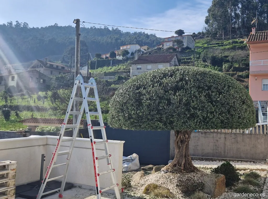 Jardinero Pontevedra