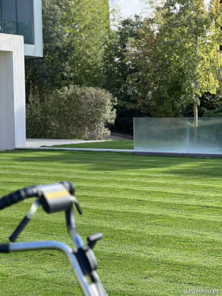 Miraflores Garden | Servicios de jardinería y paisajismo