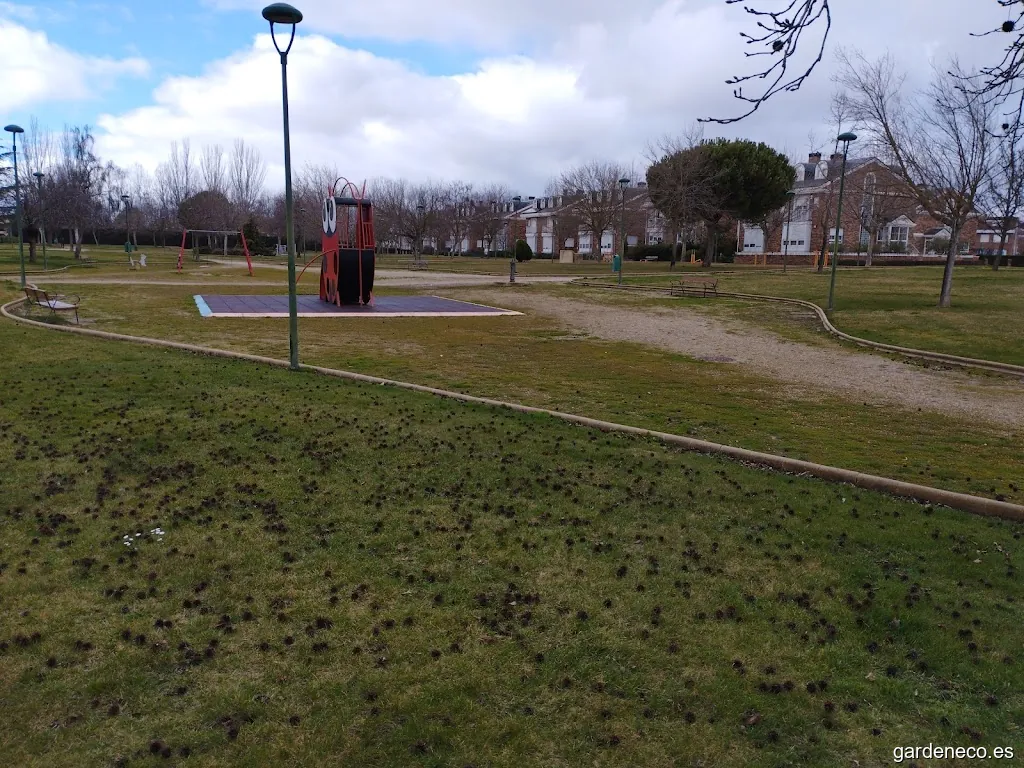 Mariquita caprichosa