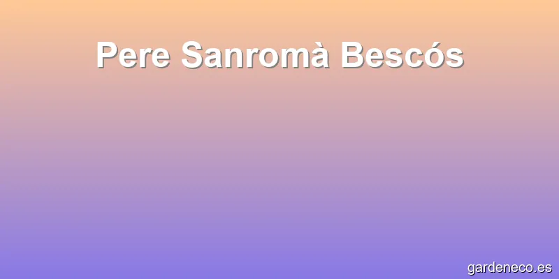 Pere Sanromà Bescós