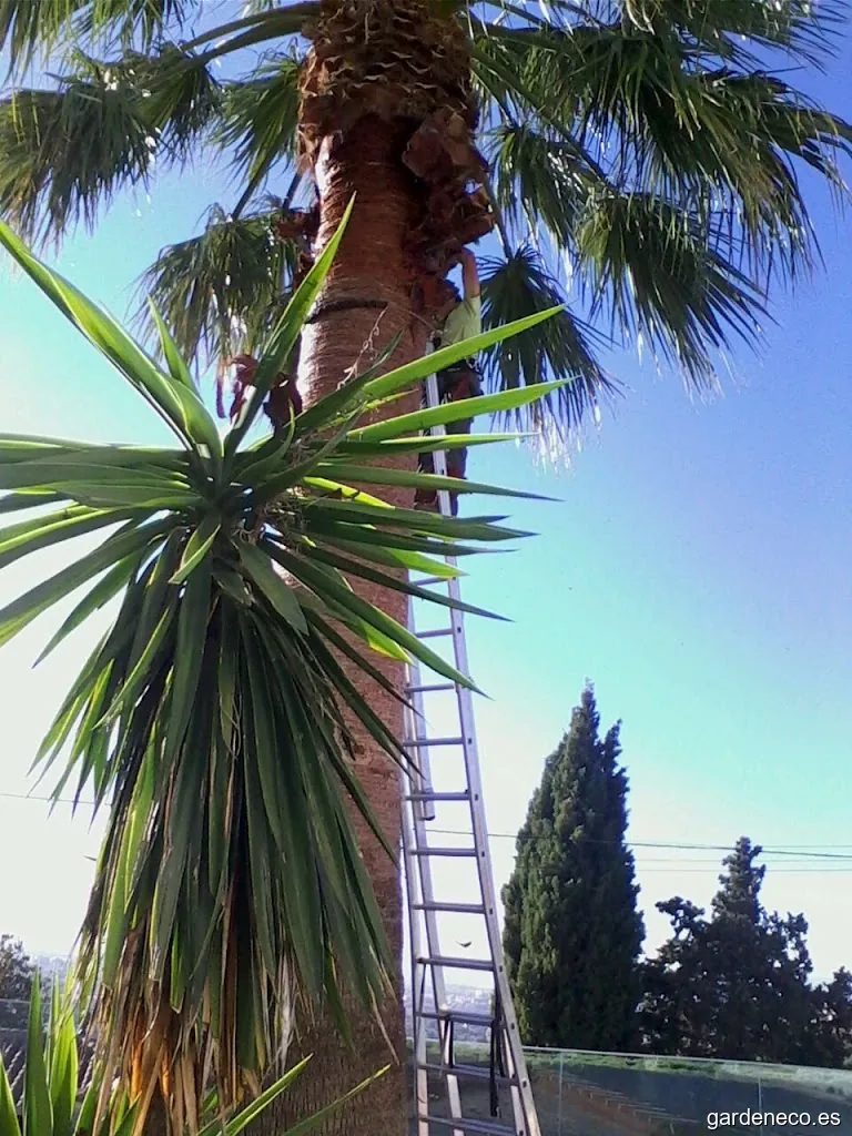 Jardineros En Granada