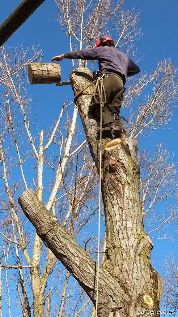 Jesús Jardinería y Limpiezas