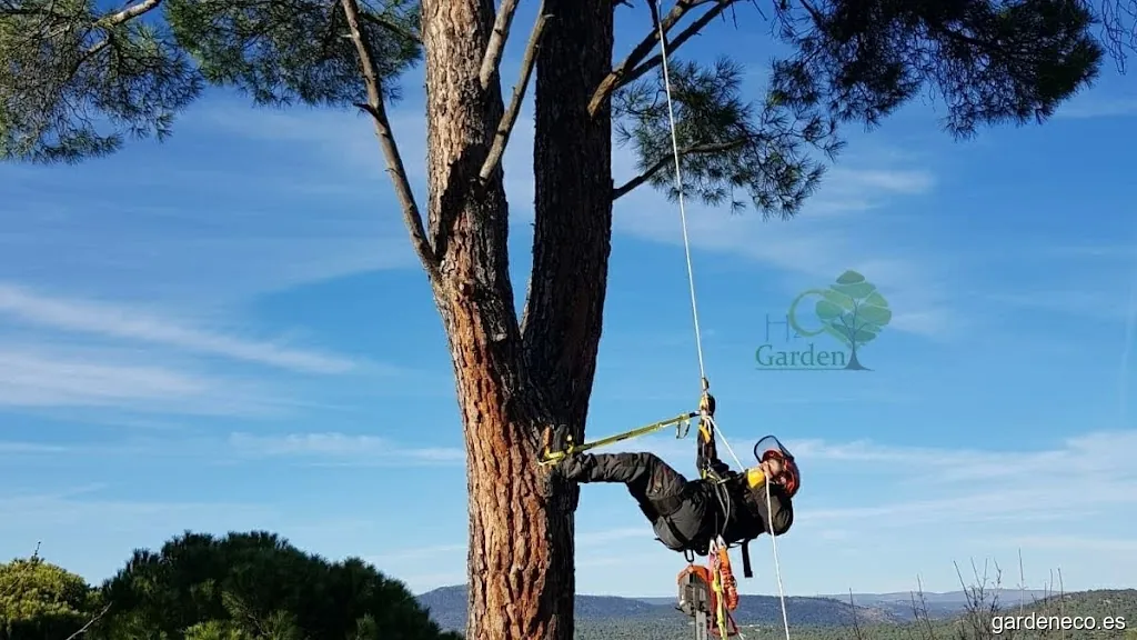 H2O Garden - Empresa de Jardinería en Madrid