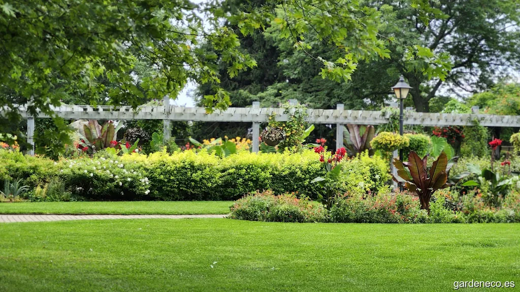 Pedro Pascual Jardinería y Paisajismo