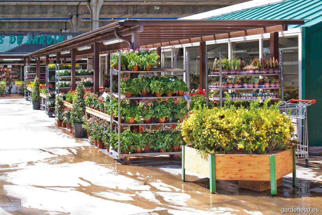 Viveros Projardín s.a