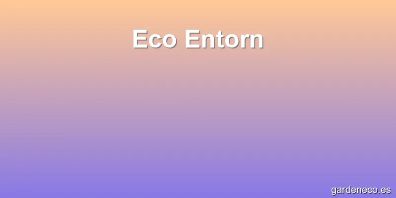 Eco Entorn