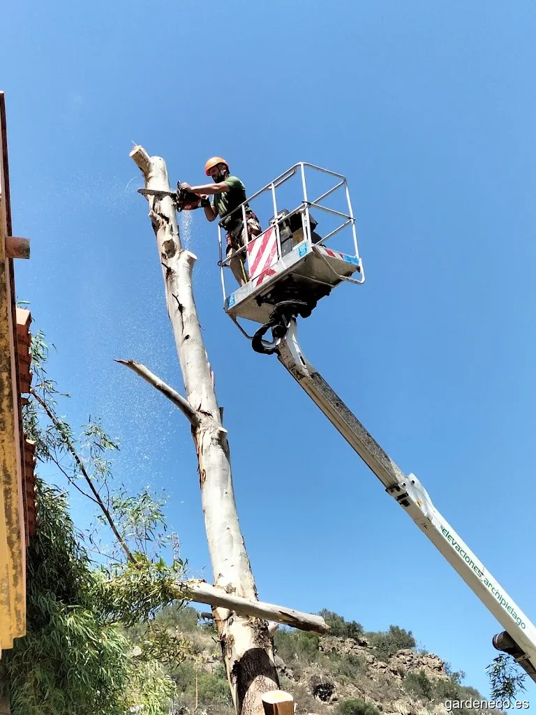 Grupo Jusan Archipiélago s.l