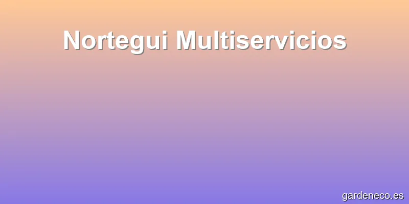 Nortegui Multiservicios