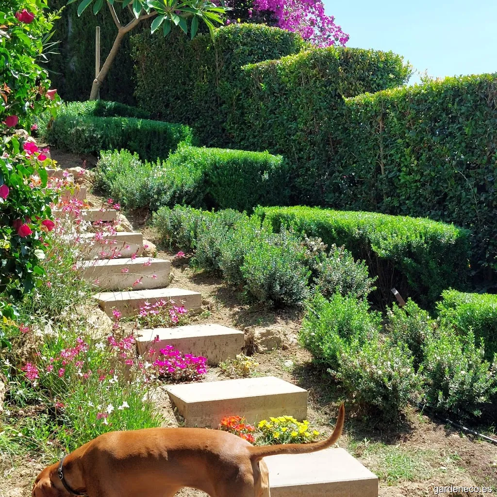 D&AJardinería S.C.A