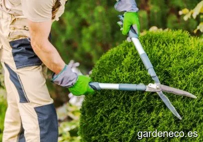 Jardiner Manel Torrent