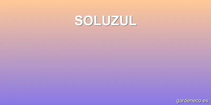SOLUZUL