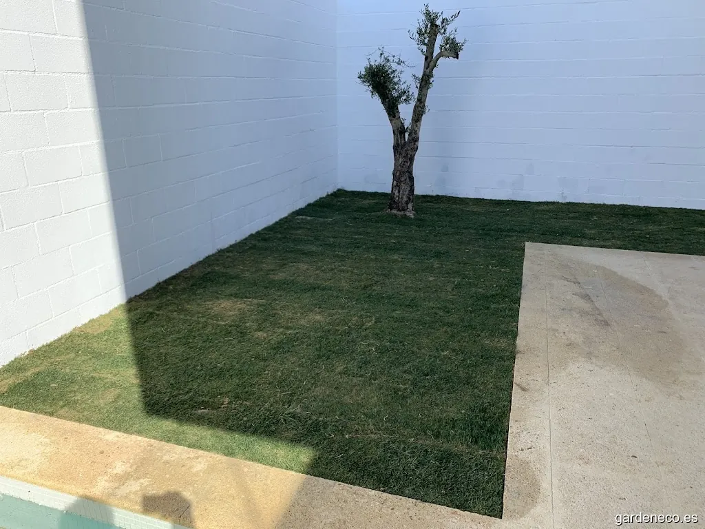 Ajardinamientos y Proyectos Andaluces SL