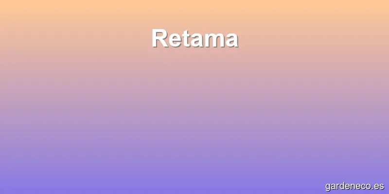 Retama