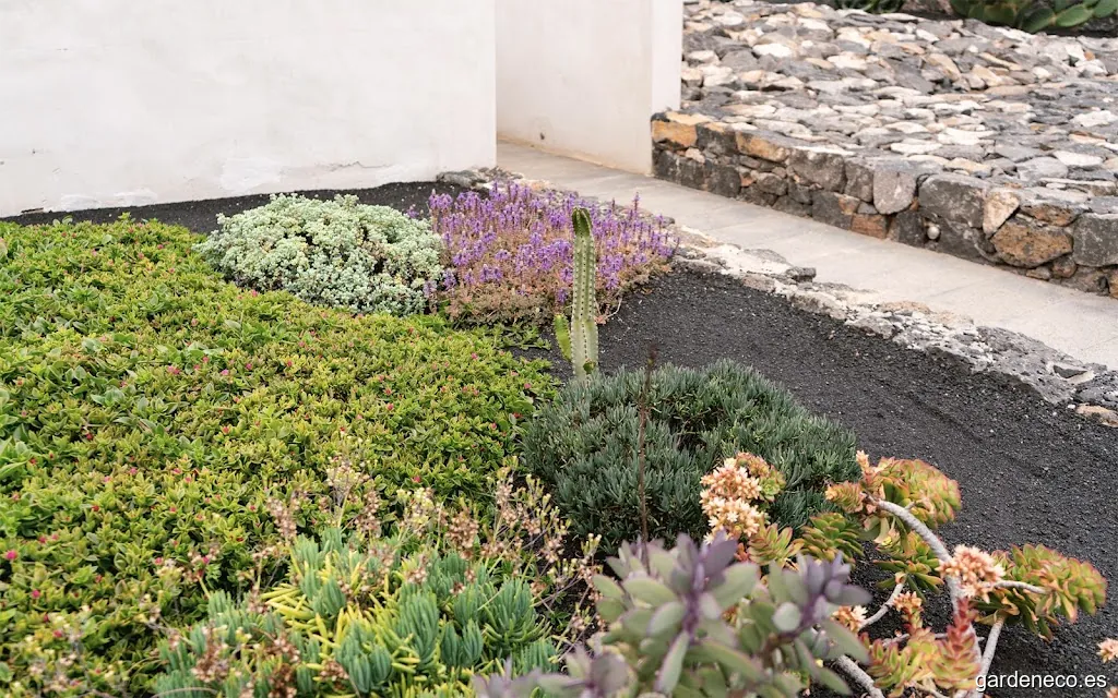 LA TARDE - Estudio de paisajismo