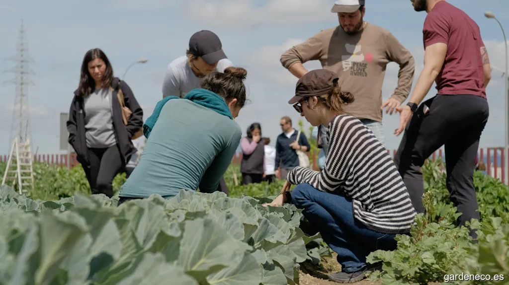 Ecohuerto Arabuleila | Huerto urbano municipal de Armilla