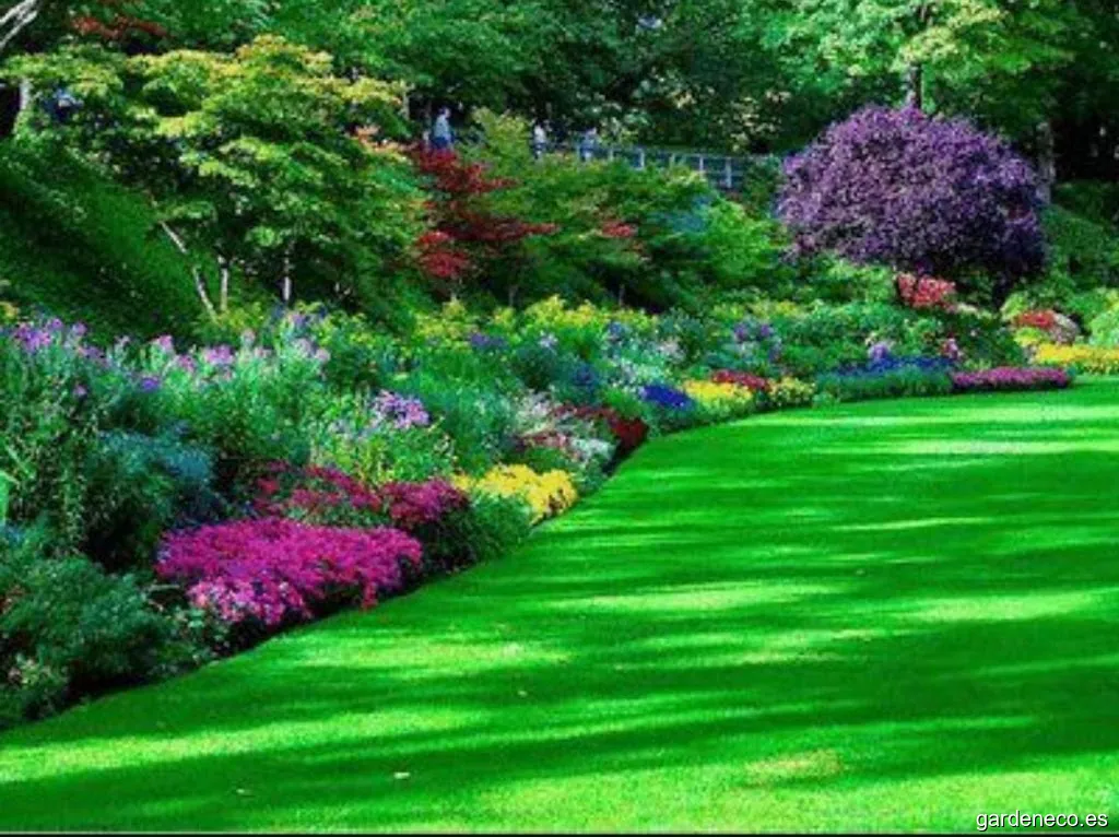 Clover Jardines y Hogares SCA