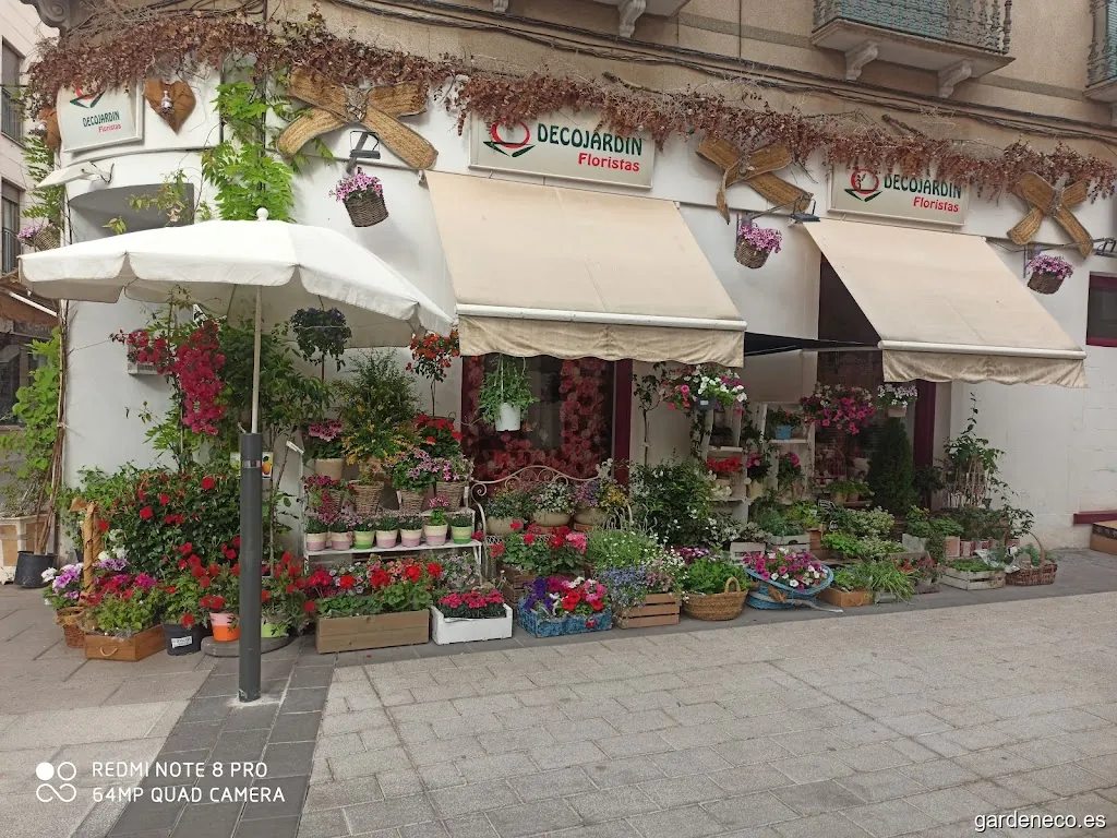 Decojardin Floristas