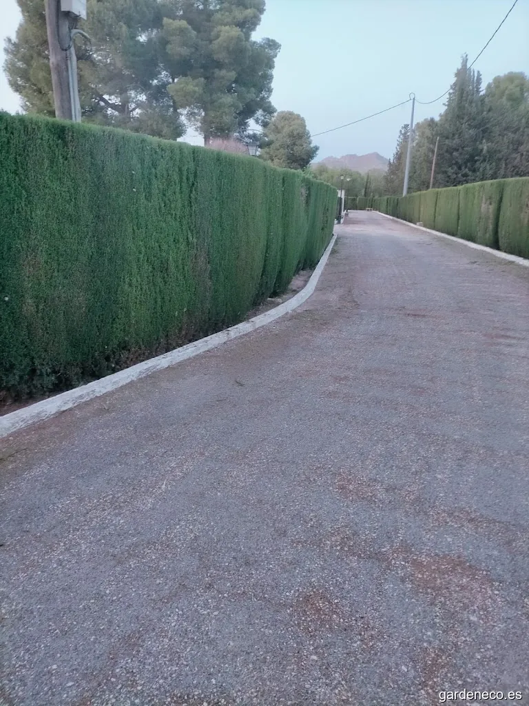 Puche Bautista Jardinería