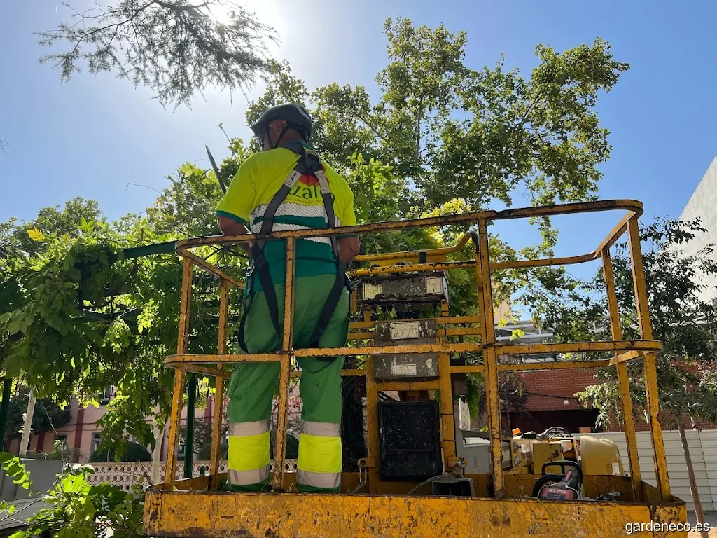 Jardinería y Viveros Azalea