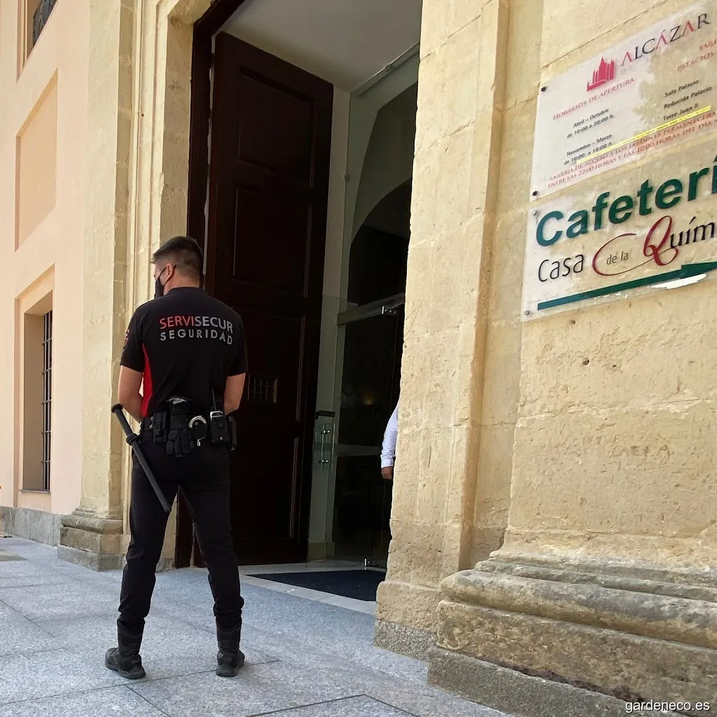 SERVISECUR VIGILANCIA PRIVADA, S.L.