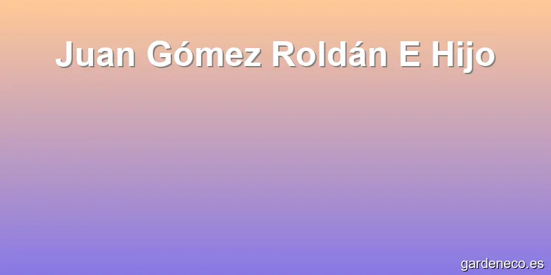 Juan Gómez Roldán E Hijo