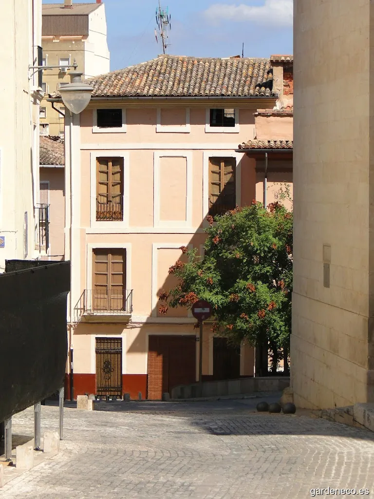 Diputació Provincial de Valencia