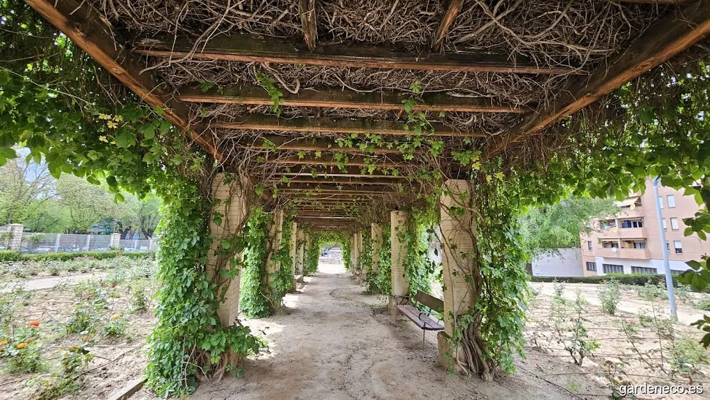 Parque de La Rosaleda